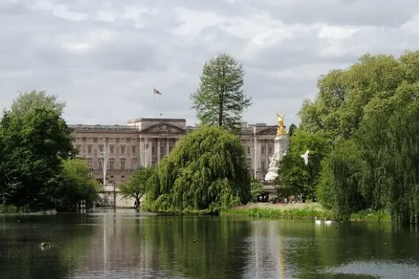 Blooming flowers in Buckingham Palace gardens